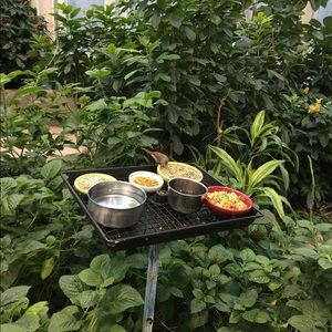 Meet your Posher, Kerilyn